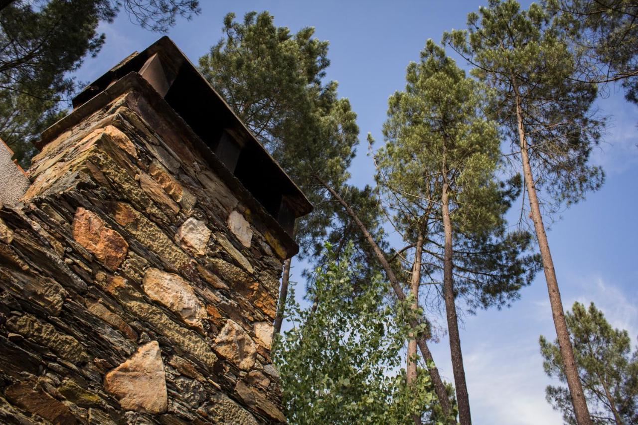 Xisto Camping Janeiro de Baixo Dış mekan fotoğraf