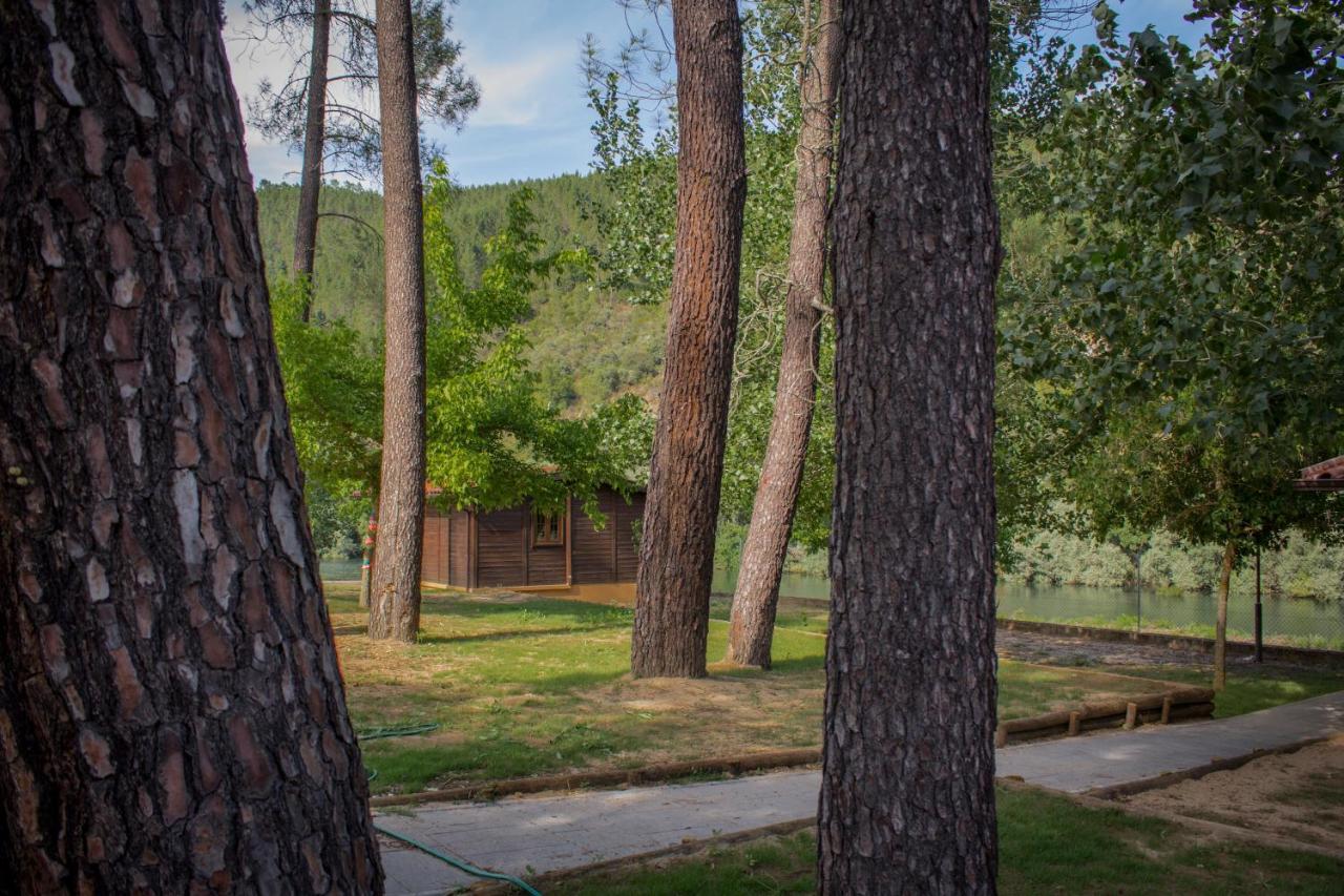 Xisto Camping Janeiro de Baixo Dış mekan fotoğraf