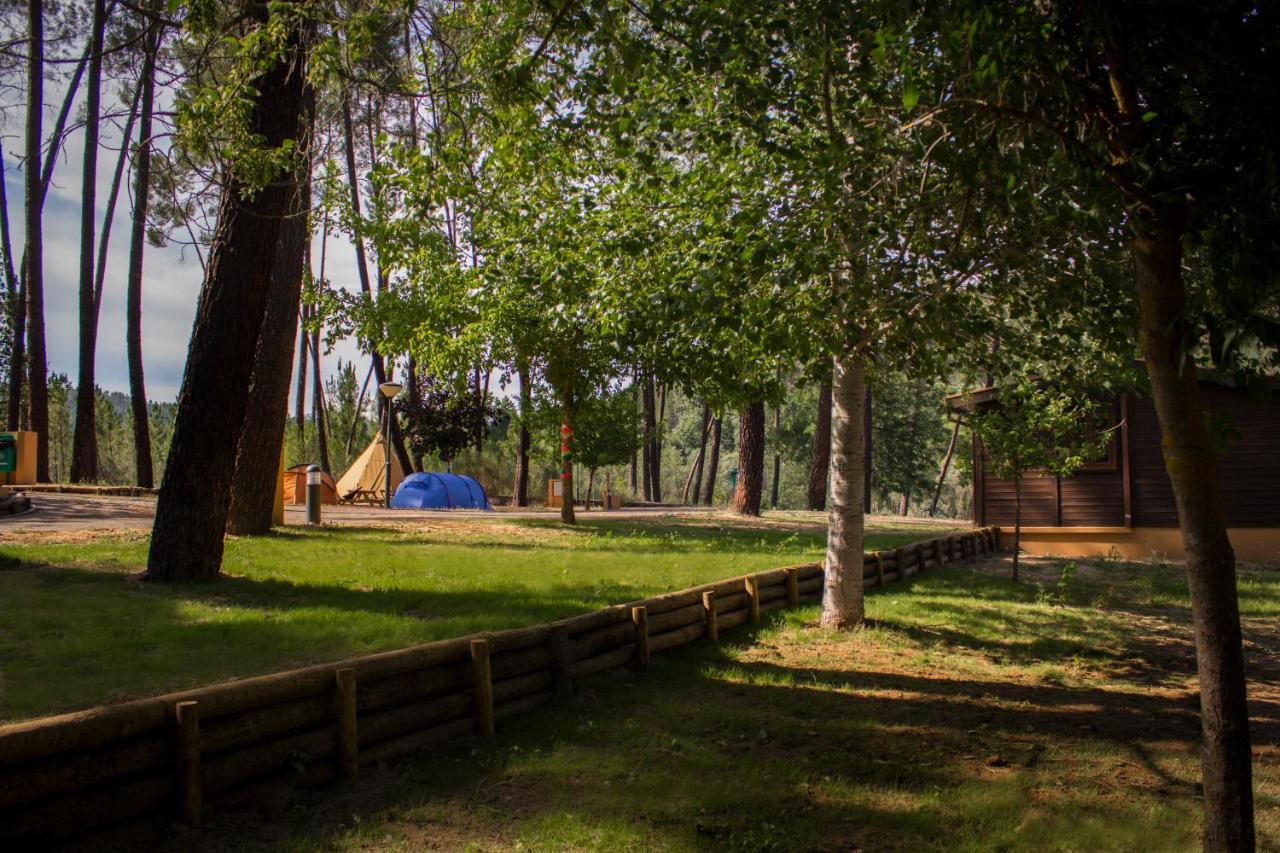 Xisto Camping Janeiro de Baixo Dış mekan fotoğraf