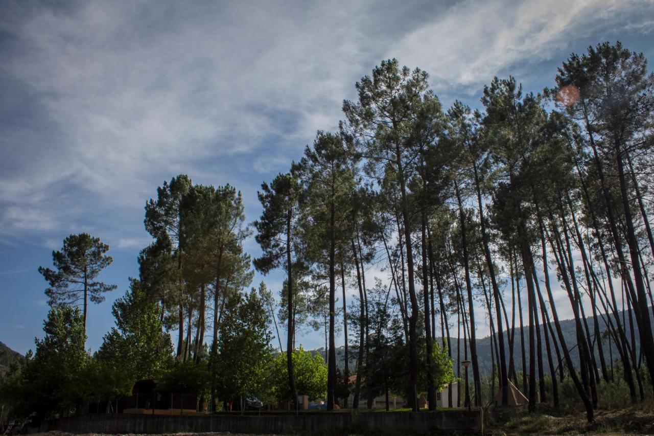 Xisto Camping Janeiro de Baixo Dış mekan fotoğraf