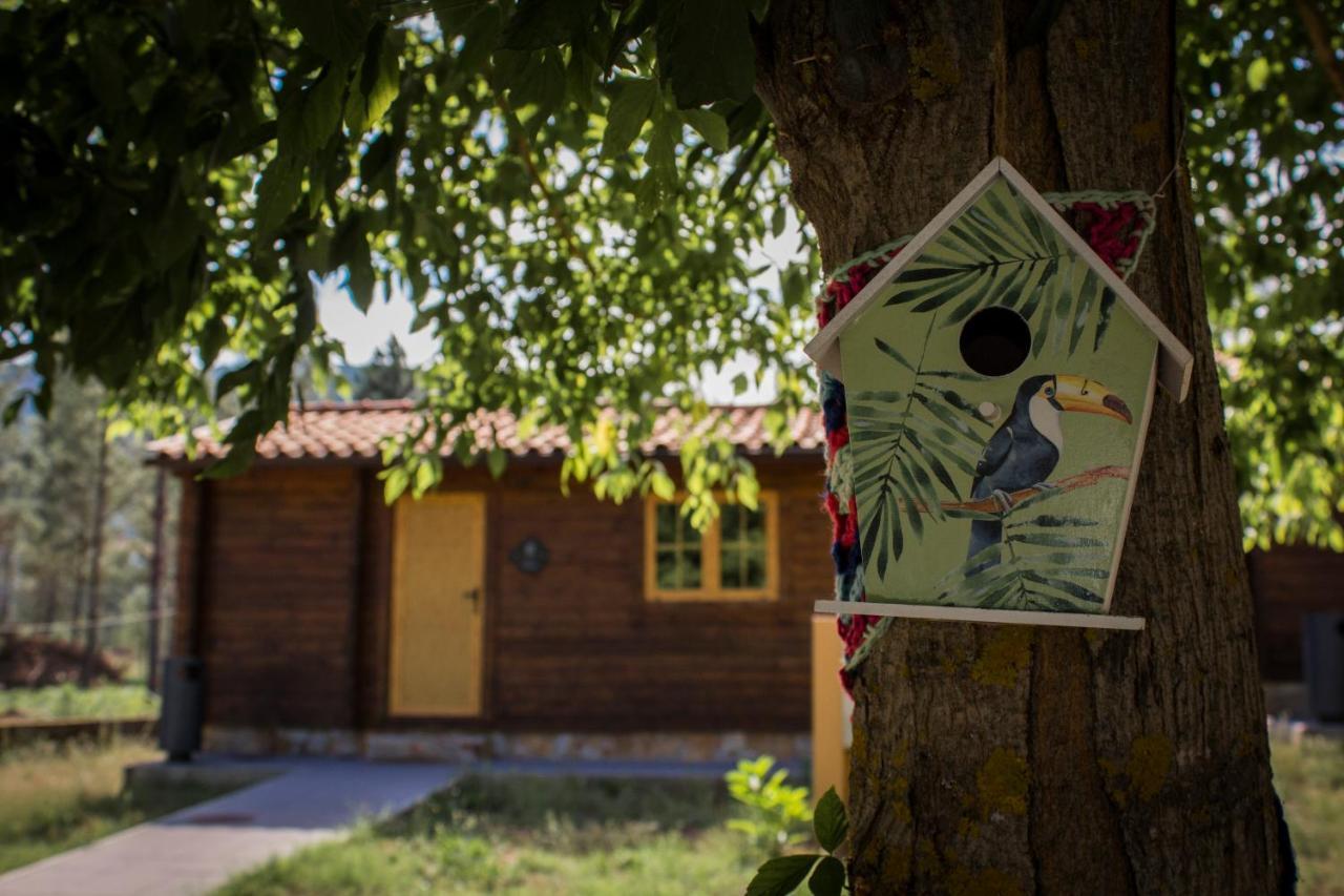 Xisto Camping Janeiro de Baixo Dış mekan fotoğraf